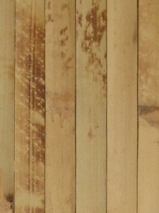 bambuko sieninių