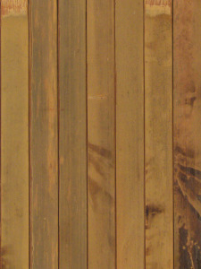 bambuko sieninių