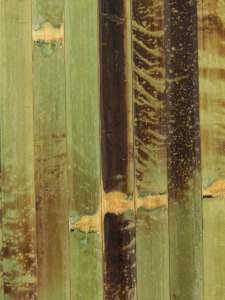 bambuko grindjuostės